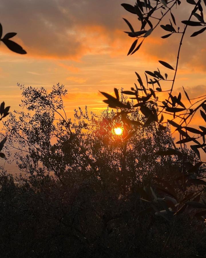 Poggio Alla Pieve Relais Calenzano Eksteriør bilde